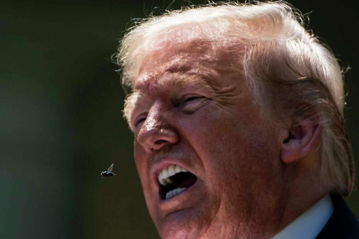 A bug flies by the mouth of President Donald Trump during a news conference May 15, 2020.