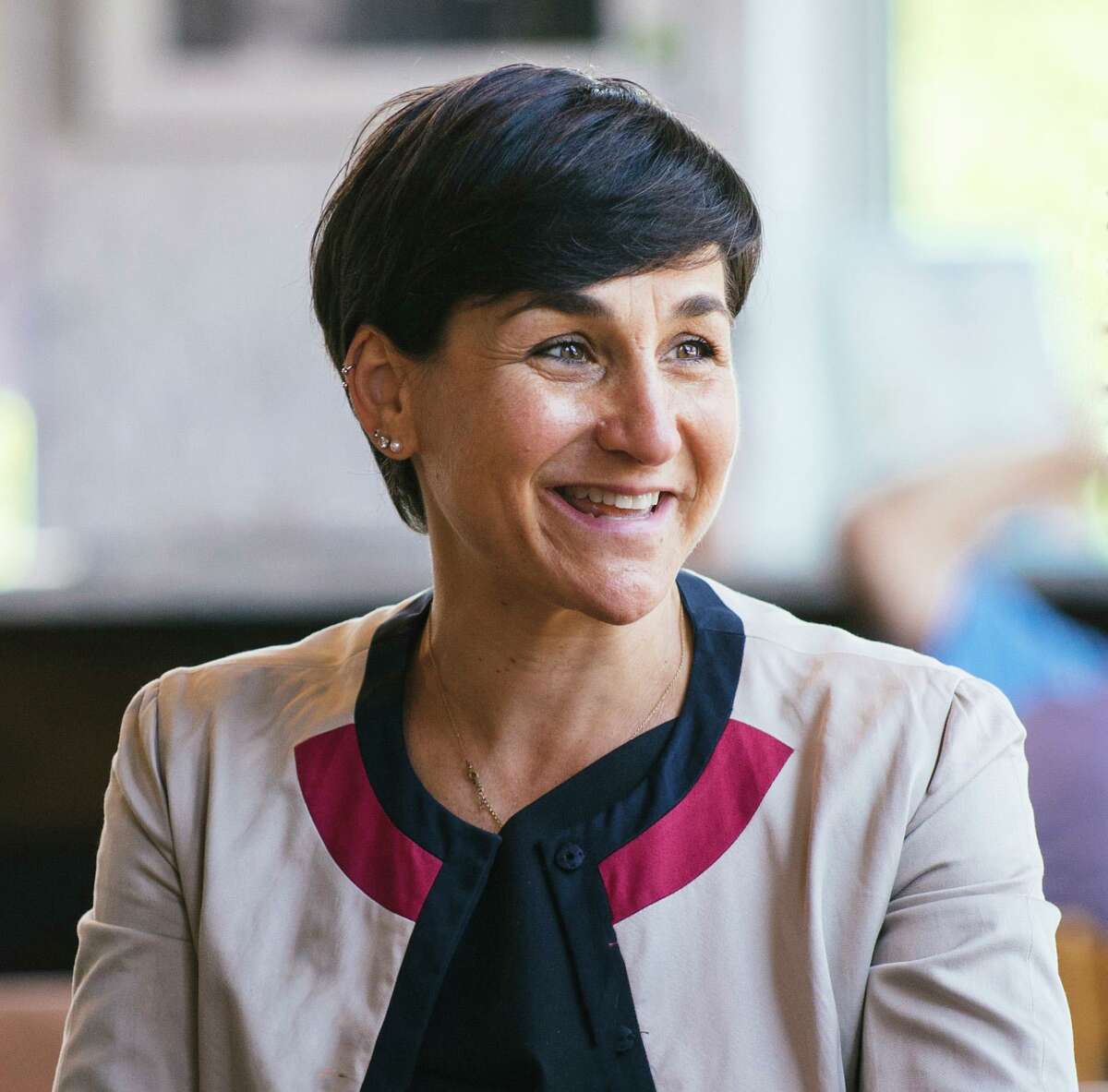 Michelle Lapine McCabe, Democratic candidate state Senate District 28