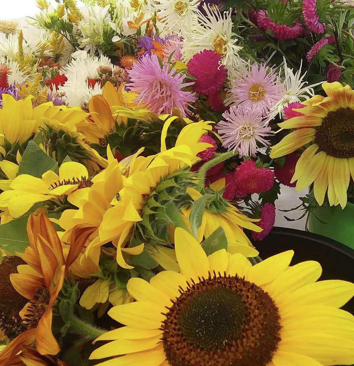 Flowers for sale at last year's farmers market.