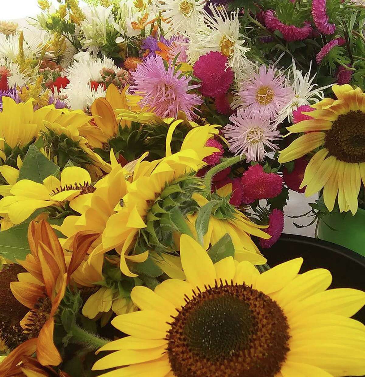 Flowers for sale at last year’s farmers market.