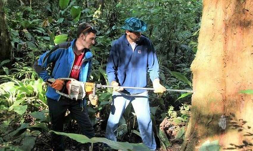 Researchers use core drilling tools to get tree ring samples without having to cut down trees. Courtesy University at Albany.