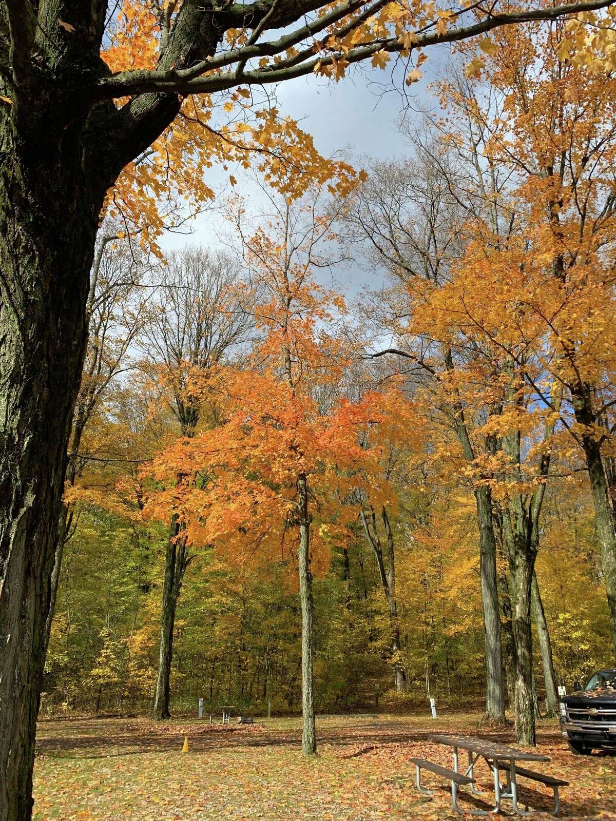 Rambadt Park in Reed City remains closed to campers, but residents are allowed to use the park, as well as other city parks, for recreation, according to the city's parks department. Park facilities remain closed at this time. (Herald Review file photo)