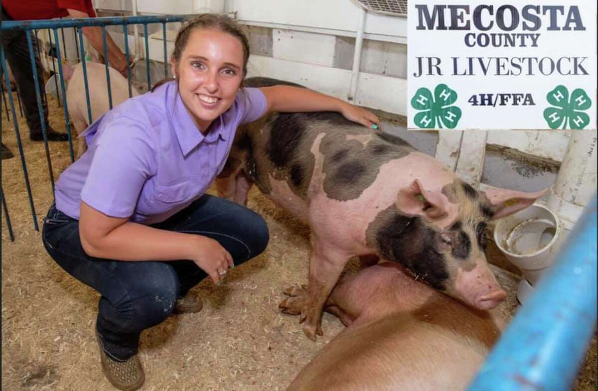 Sadie Metcalf. Shows pigs, and a beef steer. I am in Back Road Country Kids 4H club.