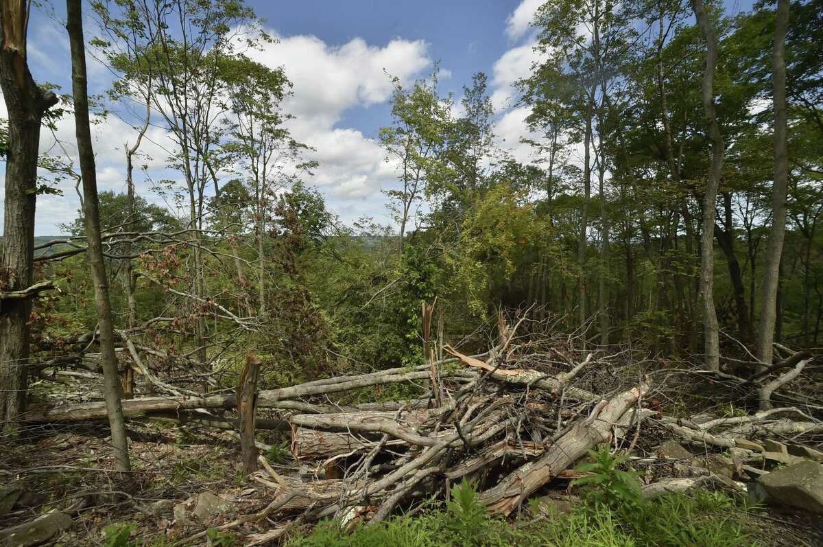 Downed trees from a tornado at Sleeping Giant State Park in Hamden before they were cleared in 2018.