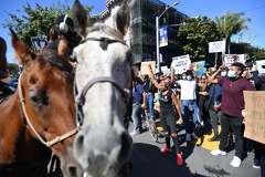 SF protest in the Mission District had an uplifting sight — two horses