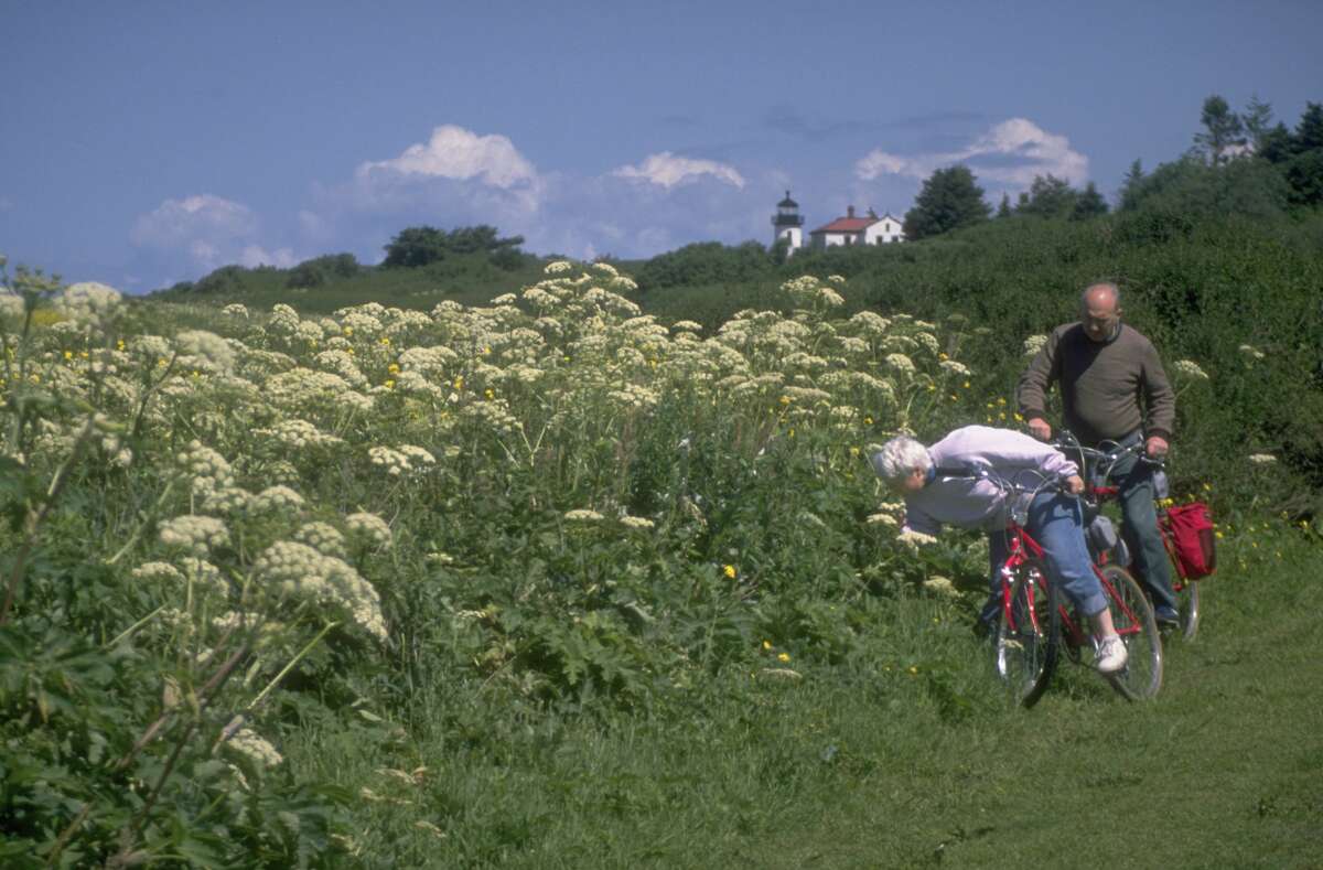 Whidbey Island reopens: A close by getaway, but come masked