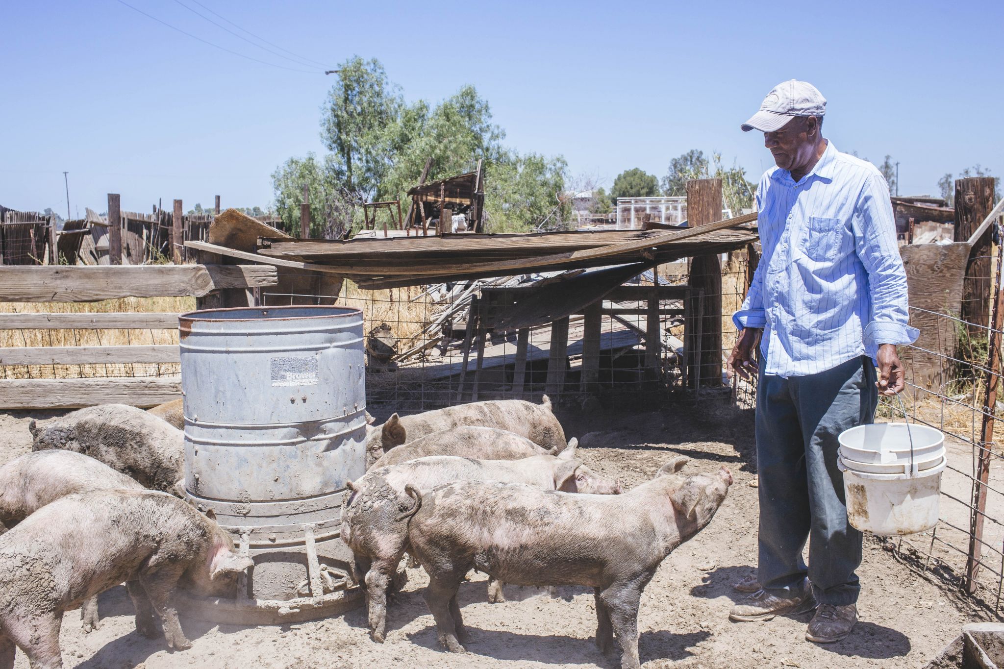 Black owned farms near me