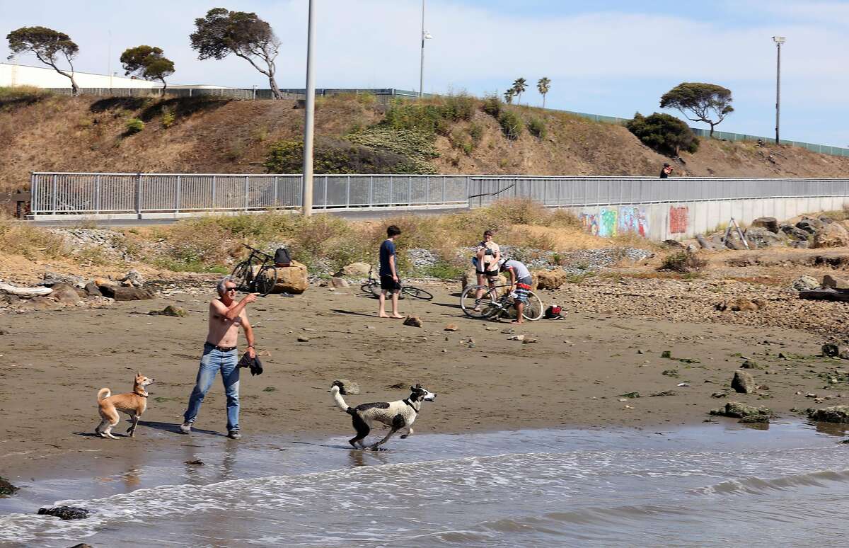 Small beach south of Buchanan dog beach where trail heads around the bluff of the new extension on the San Francisco Bay Trail seen on Tuesday, June 2, 2020, in Albany, Calif.