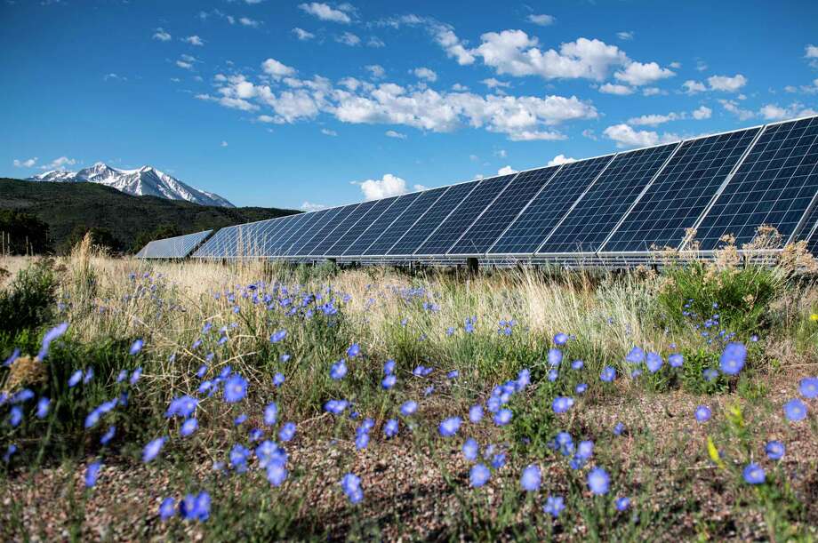 Fflowers and vegetation bloom next to solar panels. The energy market is currently at record- or near-record-low prices, so now is the time for nonprofits to evaluate your next contract and consider future energy needs. This includes exploring options in renewable energy. Photo: Associated Press / 2020 Kelsey Brunner/The Aspen Times