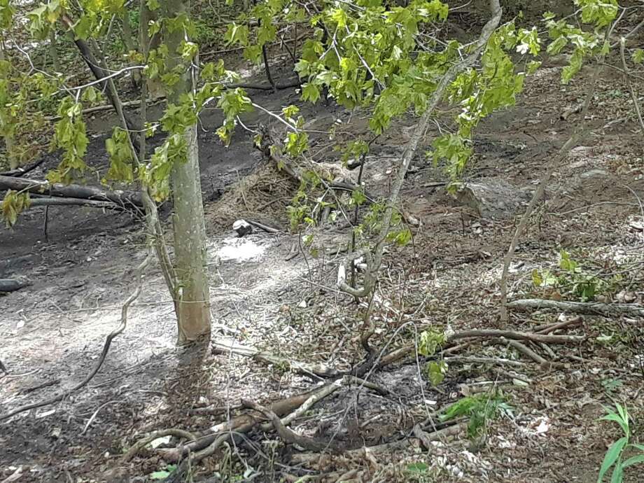 Two Teenagers Dead Three Others Hurt In Fiery Crash In Litchfield