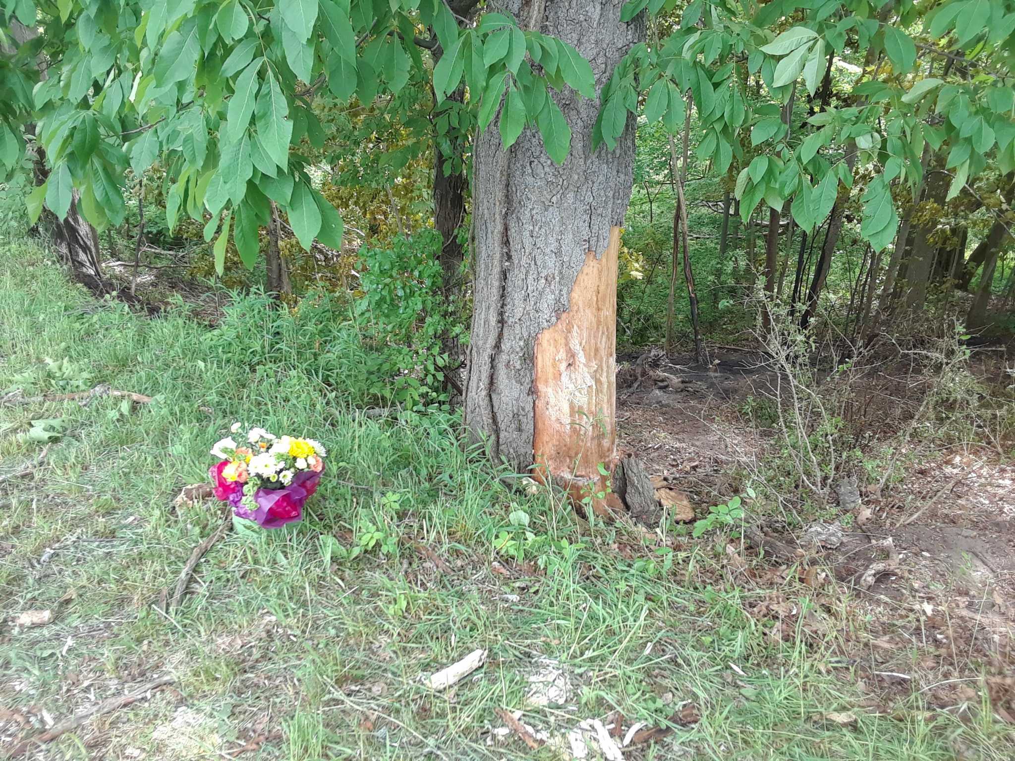 Investigation continues into fatal accident in Litchfield; community