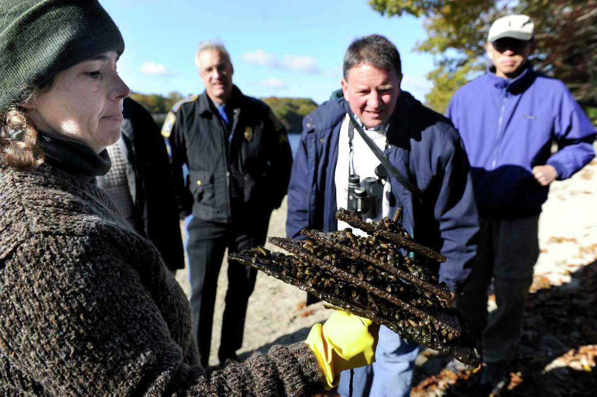 Rebekah White, left a student at Western Connecticut State University, holds up a "hotel" of zebra mussels found in Lake Zoar, Friday, Oct. 25, 2013. Larry Marsicano, executive director of the Candlewood Lake Authority is center.