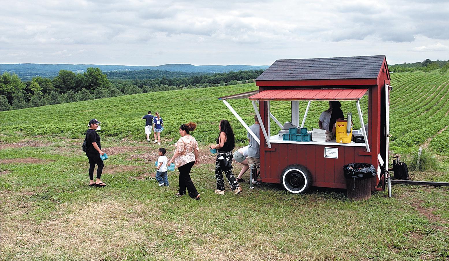 CT Orchard Named One Of The Best Apple Picking Farms In The U.S