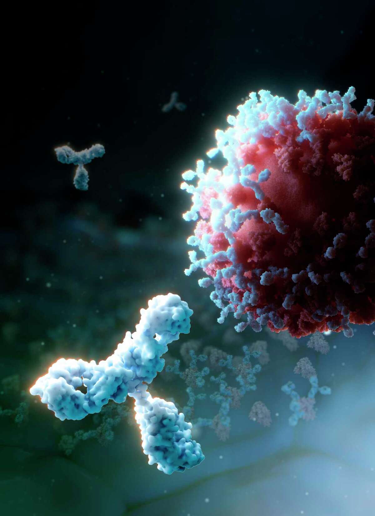 A rendering showing the human neutralizing antibody S309 (blue) latching on the spike glycoprotein of SARS-CoV-2 (red), which is the virus responsible for the ongoing COVID-19 pandemic. In the background, the S309 antibody is shown recognizing the SARS-CoV-2 spike glycoprotein present at the surface of infected cells and will promote their elimination.