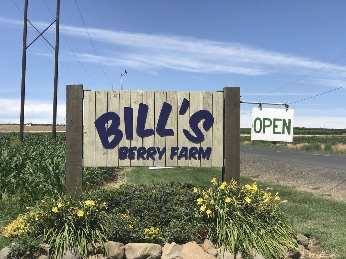 Bill's Berry Farm: Grandview — 3 hours southeast of downtown Seattle U-pick cherries, blueberries and raspberries on Saturdays and Sundays, 9 a.m.-3 p.m. Bring your own plastic containers for picking.