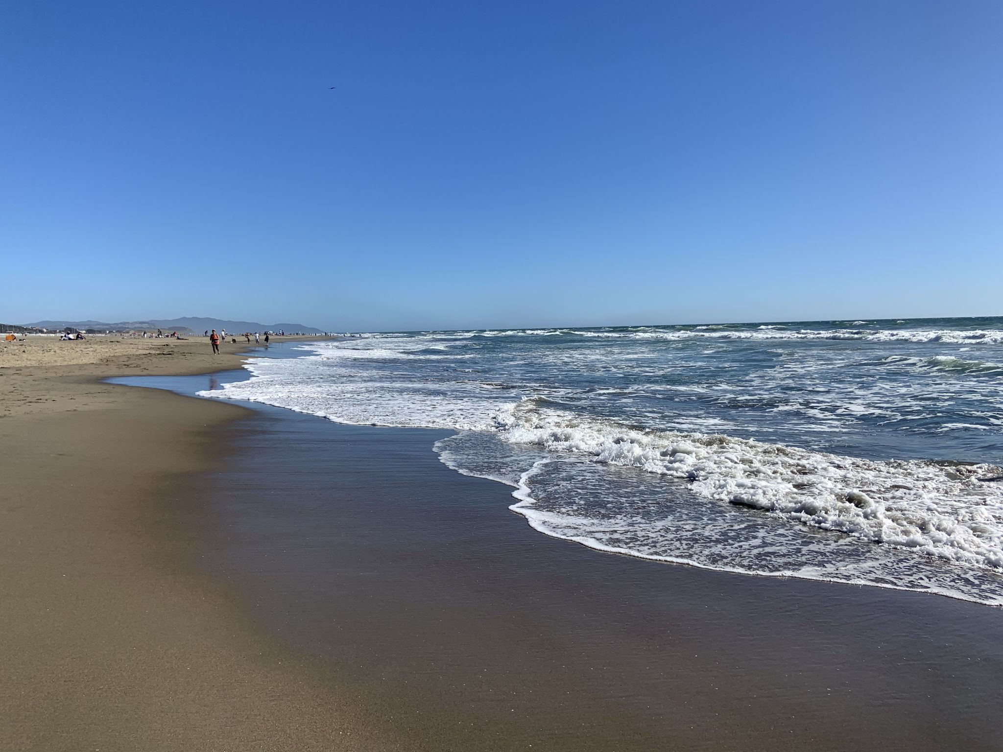 Want to Fight Sea Level Rise? Look to San Francisco's Ocean Beach