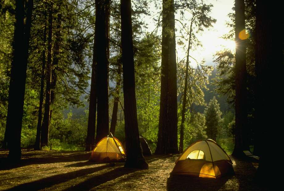 On March 17 the state closed campgrounds at all of its state parks due to the coronavirus pandemic, three months later campers are able to return to a selected group of site. Photo:  Robert Holmes / Getty Images