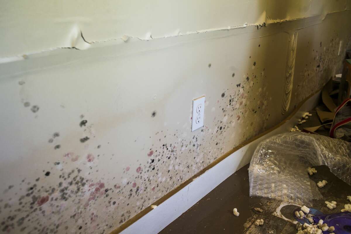 'Our legacy is intact' Midland's Midcentury buildings recovering from