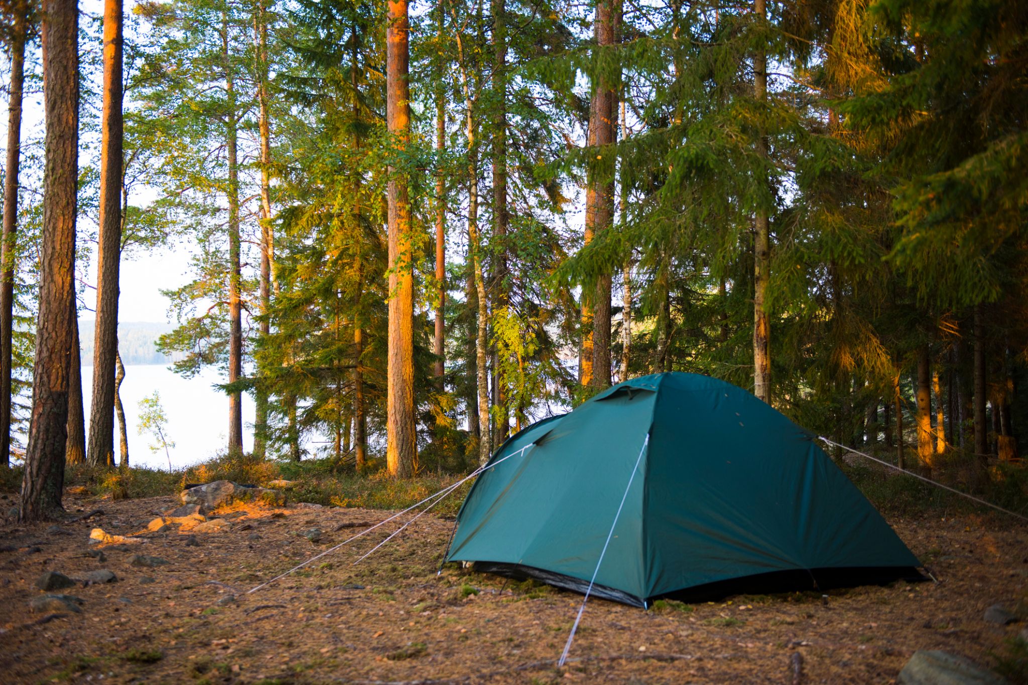 Where to rent camping gear in Washington this summer