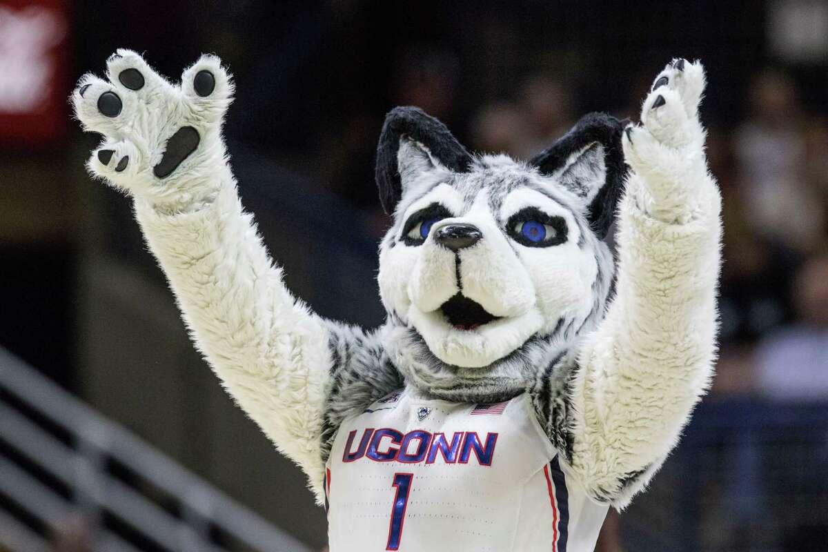 STORRS, CT - FEBRUARY 13: UConn Huskies mascot Jonathan the Husky takes to the court during the first half of a women's division 1 basketball game between 6th ranked University of South Carolina and the #1 UConn Huskies on February 13, 2017, at the Harry A. Gampel Pavilion in Storrs, CT. (Photo by David Hahn/Icon Sportswire via Getty Images)