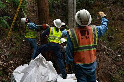 A PG&E crew replaces older wood power poles at Guerneville’s Odd Fellows Park with more resilient ones that are less likely to break during windstorms and cause wildfires.