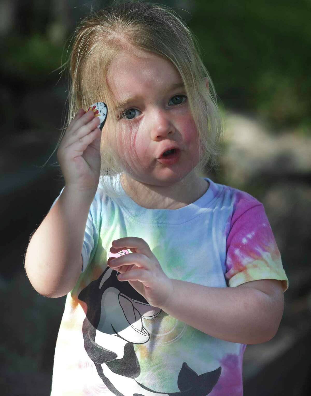 Two-year-old Frannie shows her favorite rock during a walk around her North Side neighborhood on June 8, 2020. Lisbeth Anne Dunlap, mother of three and a missionary, has been secretly uplifting the neighborhood by leaving painted rocks throughout the subdivision and posting anonymous jokes on the fence at Northwood Elementary School.
