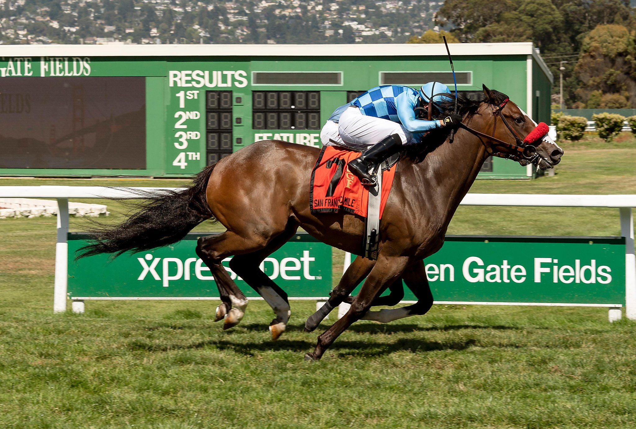 Golden Gate Fields Records 17Th Race Horse Death Of 2020