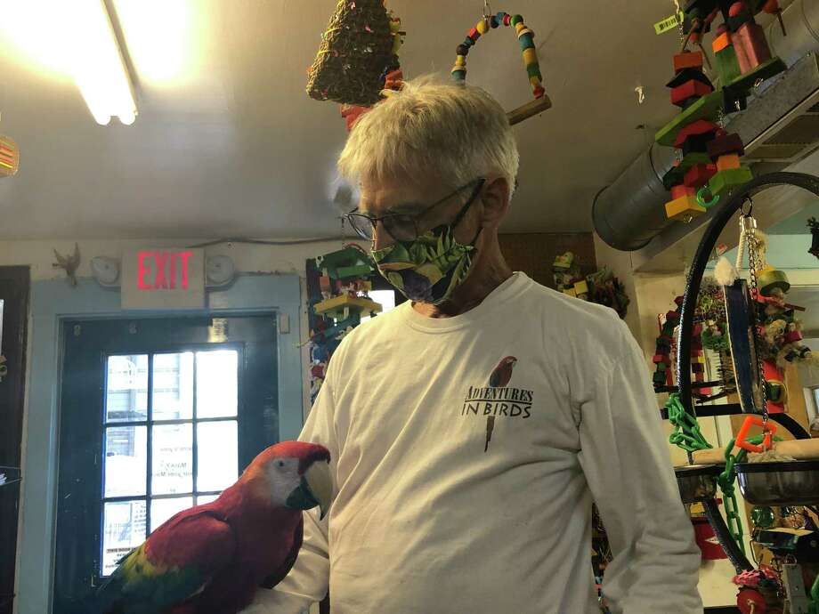 Longtime employee Gary Foster shows off Kiko, a scarlet macaw, at Adventures in Birds in Spring Branch Photo: Elliott Lapin / Staff Photo