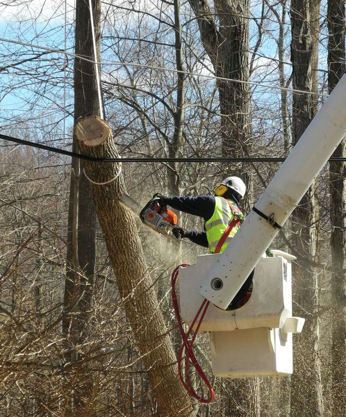 A worker sawed a tree limb that had fallen on a wire after a big storm in February, 2016.