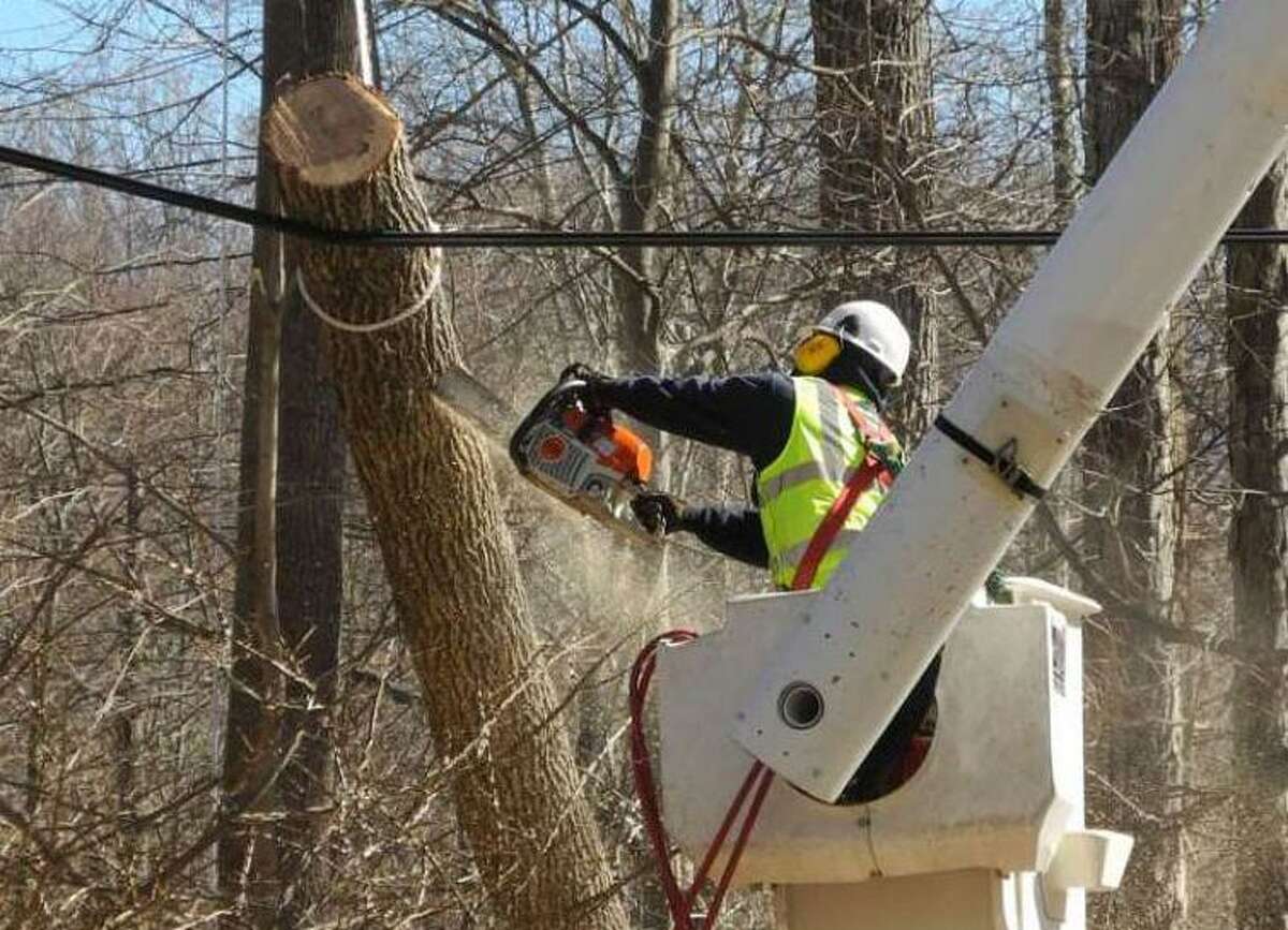 A worker saws a tree limb that had fallen on a wire after a big storm in February, 2016.