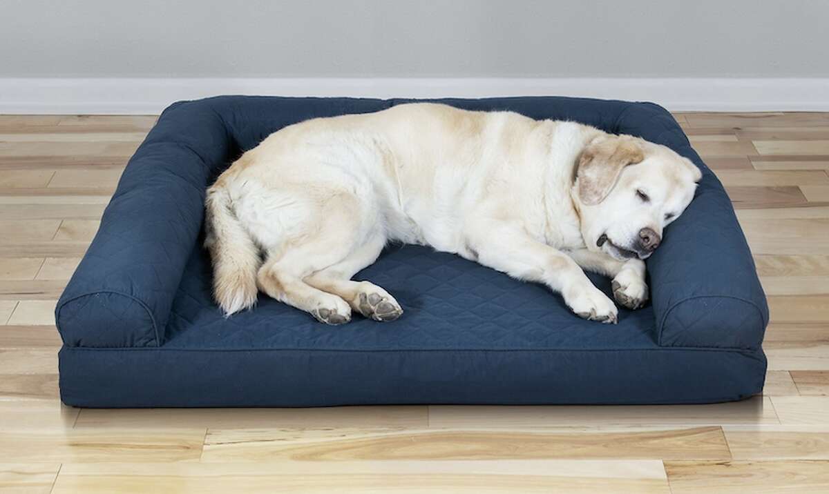 keep cool dog bed
