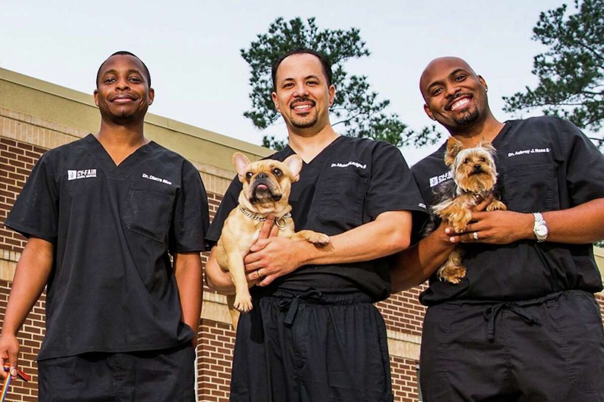 How 3 Veterinarian Best Friends Built a Business That Delivers Happy Barks and Happier Poops How 3 Veterinarian Best Friends Built a Business That Delivers Happy Barks and Happier Poops