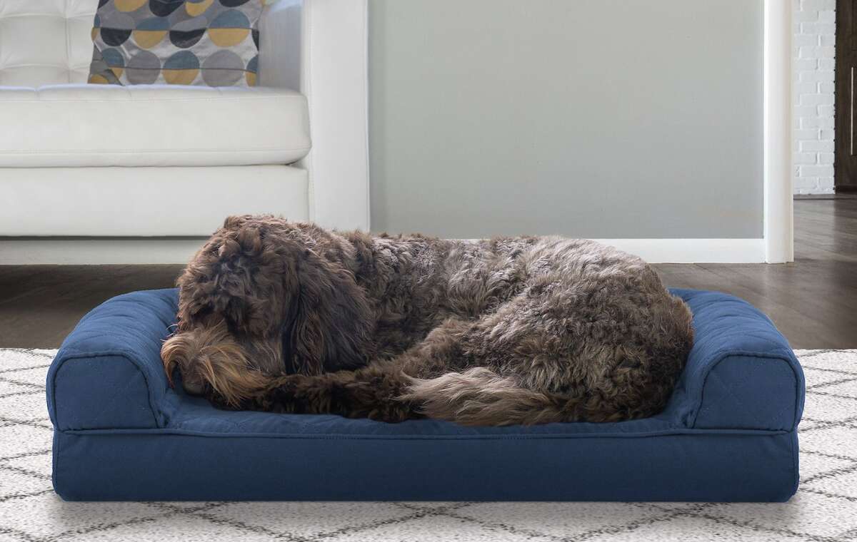 keep cool dog bed