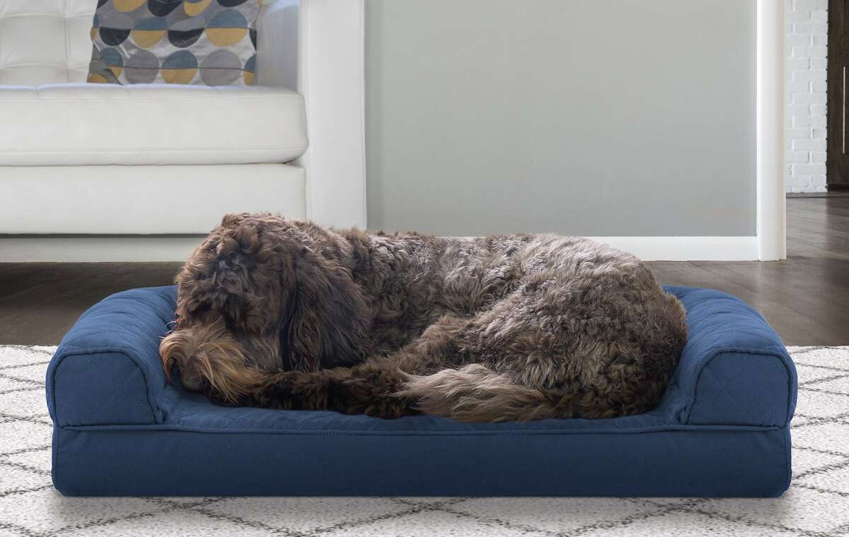 summer dog bed