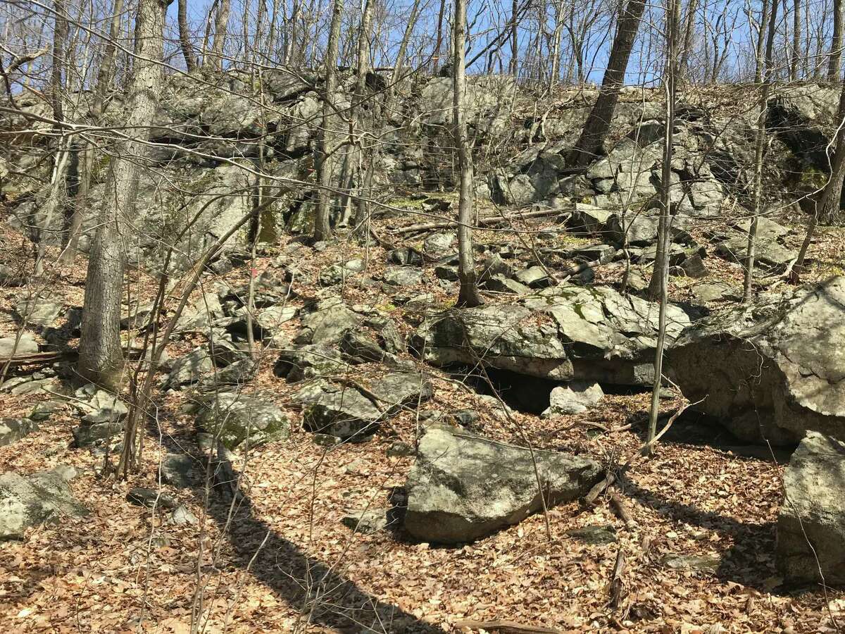 A wooded tract of 14 acres is one of two open space acquisitions the Conservation Commission and selectmen are sending to a June 24 public hearing and July 15 town meeting.