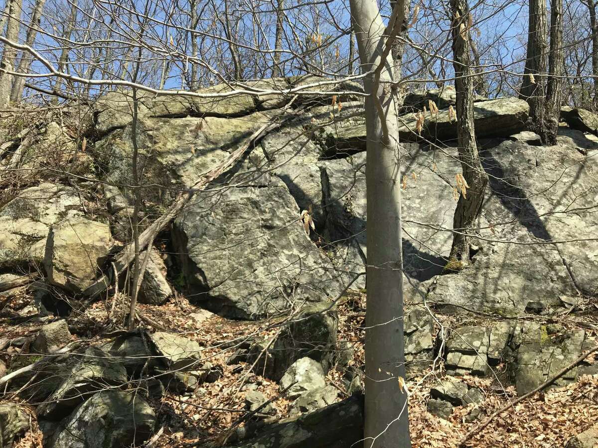 A wooded tract of 14 acres is one of two open space acquisitions the Conservation Commission and selectmen are sending to a June 24 public hearing and July 15 town meeting.