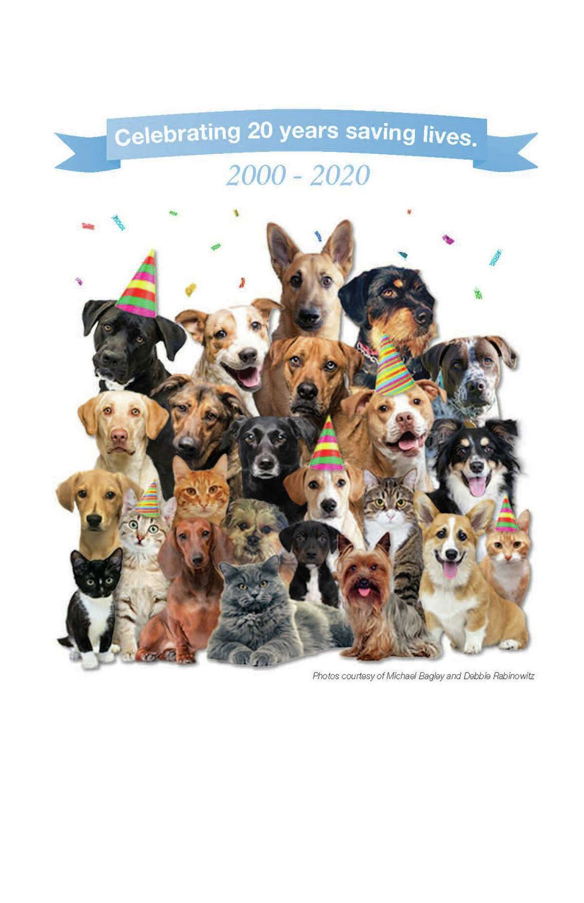 In celebration of its 20th anniversary, Ridgefield Operation for Animal Rescue (ROAR) is launching a new monthly donation drive called “$20 for 20 in 2020.” Donors are being asked to contribute $20 (or more) on the 20th of each remaining month of the year, beginning June 20.