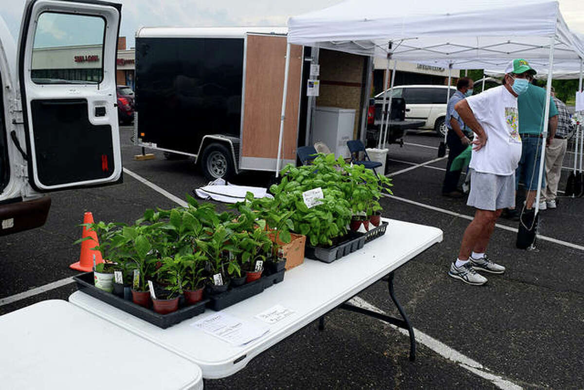 Gallery Jacksonville Farmers’ Market returns