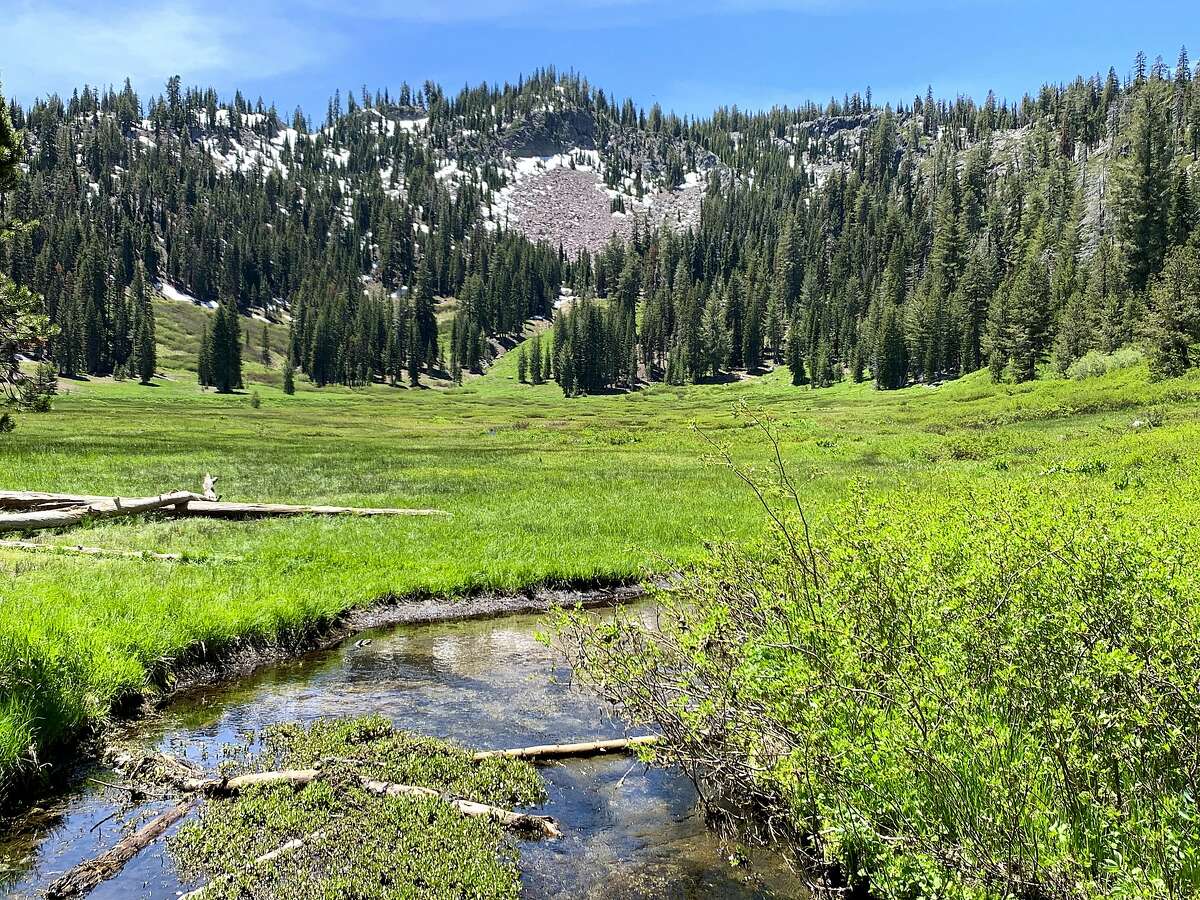Paradise Meadow is nestled at 7,140 feet, where the headwaters of Hat Creek form, at Lassen Volcanic National Park