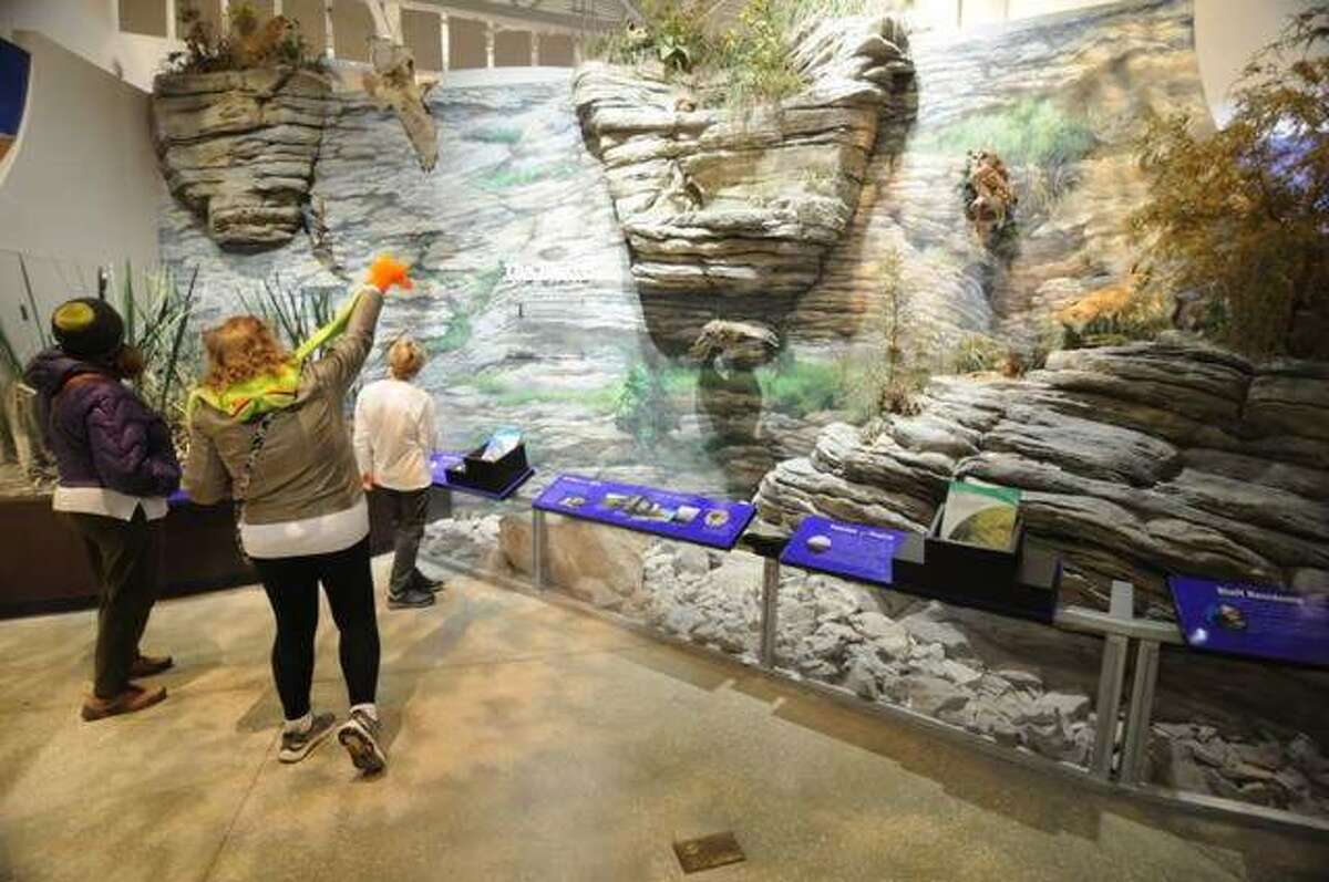 In this file photo, January visitors to the National Great Rivers Museum admire an exhibit. The museum plans to reopen on July 1.