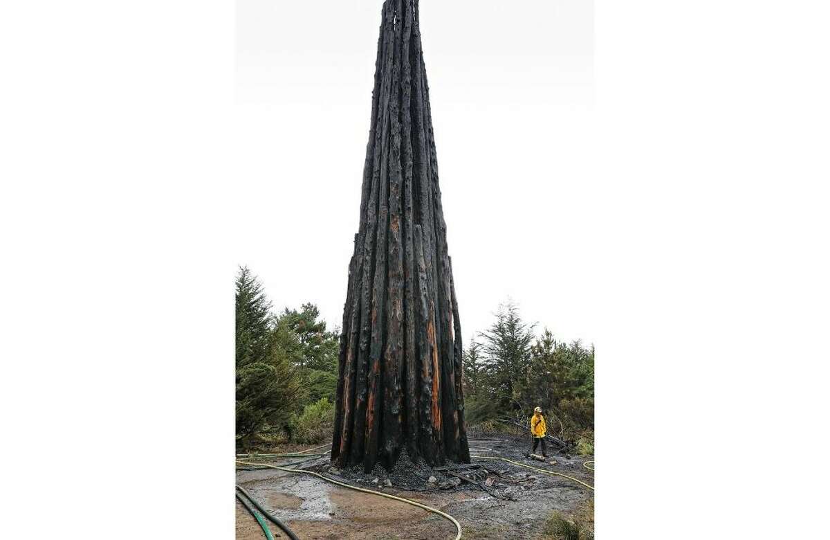 Andy Goldsworthy’s “Spire” burned in the Presidio after a fire last June.