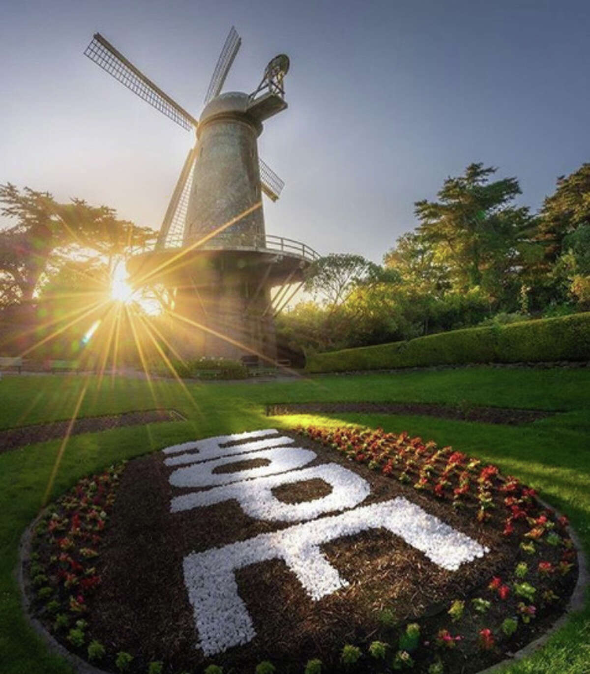 How This Man Created One Of The Most Photographed Spots In Golden Gate Park Right Now