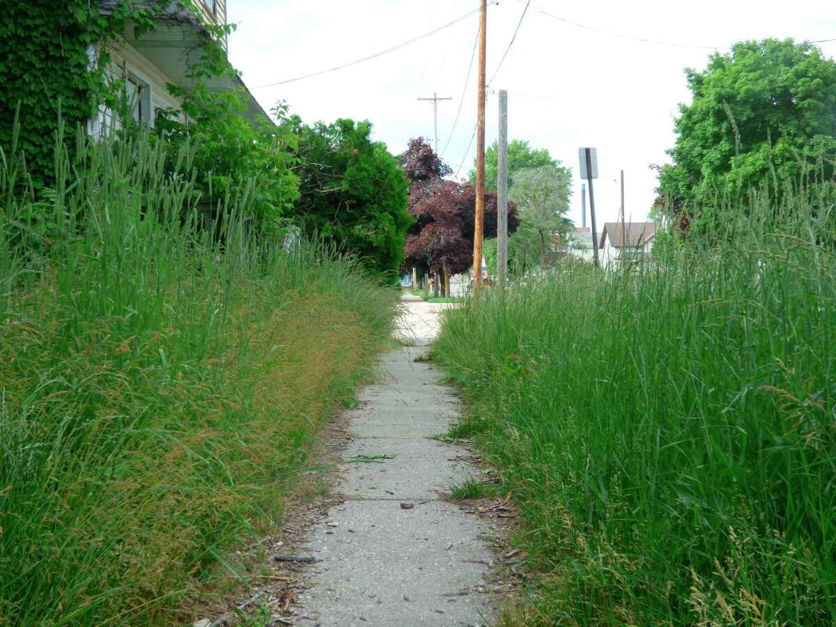 Unchecked grass like this can get you into hot water with your neighbors and the city. (File Photo)