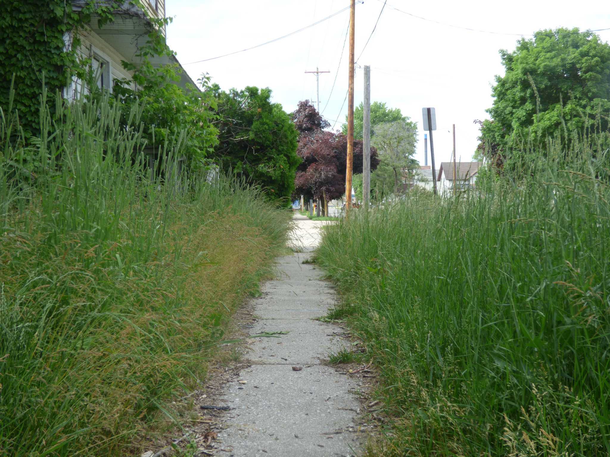 City lawn ordinance designed to 'push toward compliance'