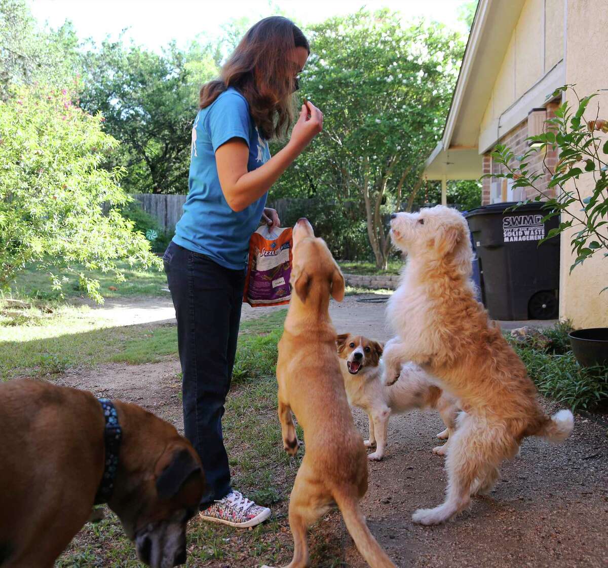 San Antonio Foster Mom Helps Place Dogs In New Homes As Adoptions Have Increased During The Coronavirus Pandemic