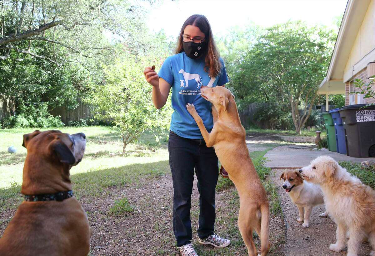 San Antonian Kathleen Cadenhead fosters dogs until they can be adopted. Many come from the Rio Grande Valley.