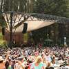 Concert meadow in Stern Grove