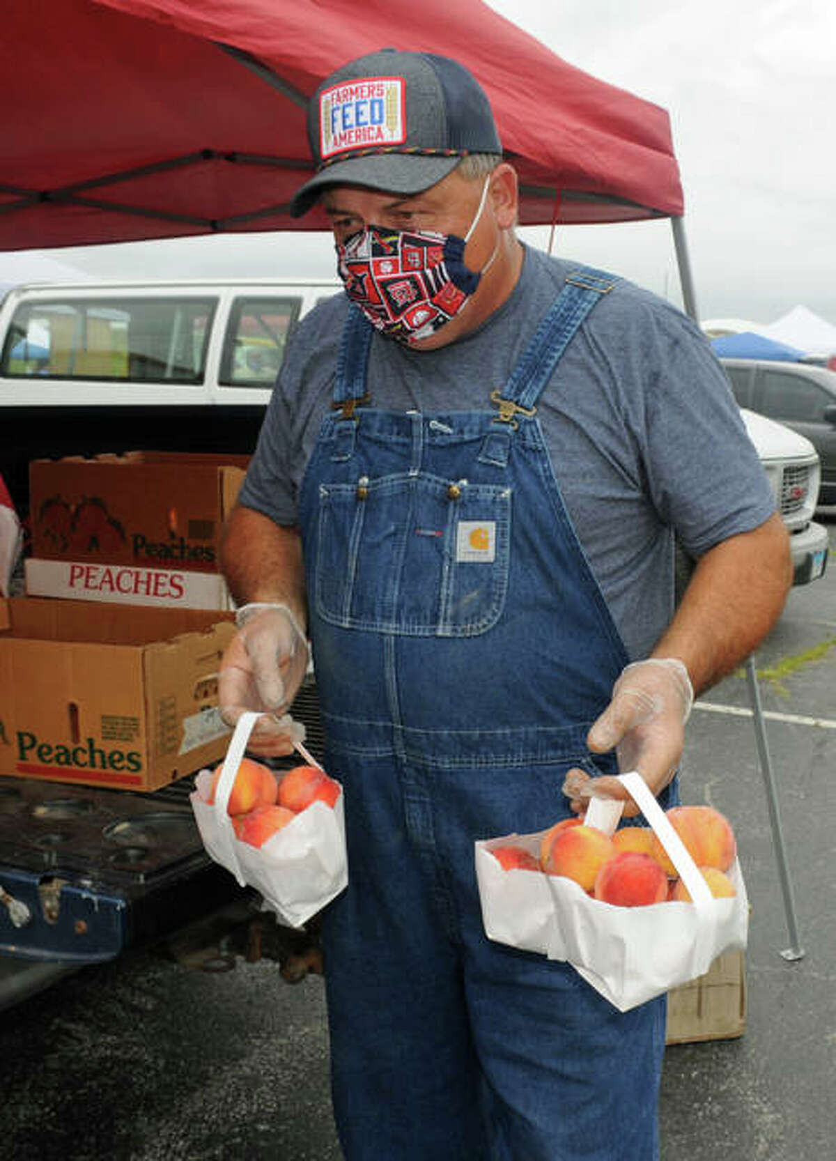 Peach pickin’ time in Calhoun County peach growers open for business