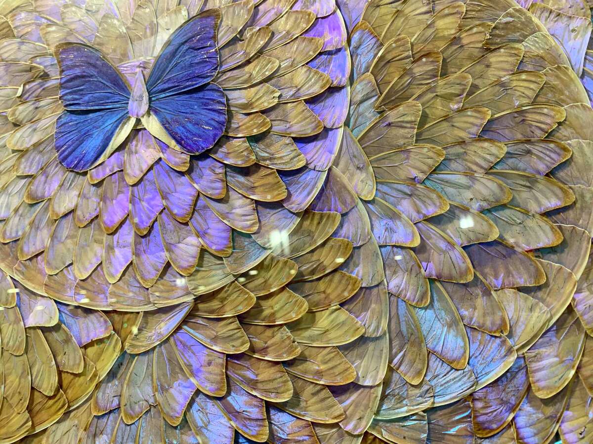 Hung Fong Chinese Restaurant in San Antonio is home to several works of art made with hundreds of real butterfly wings. The art is from an old butterfly farm in Brazil and dates back to at least the late 1970s.