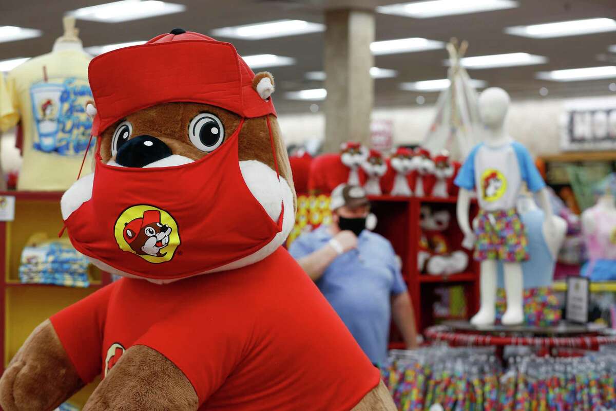 buc ee's beaver stuffed animal